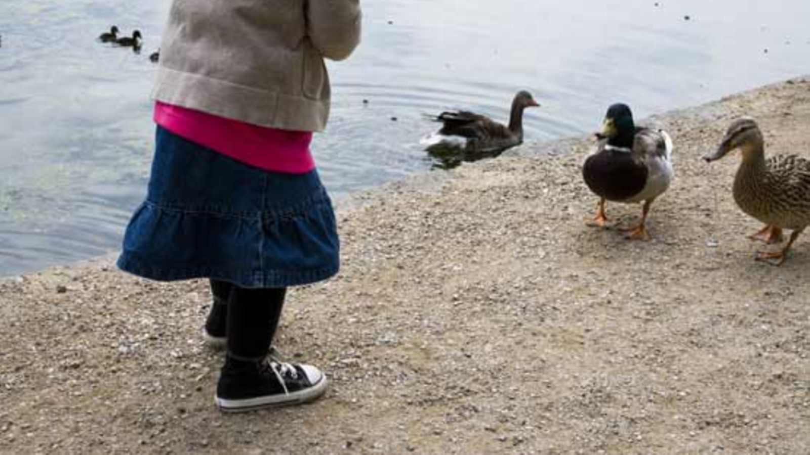 Pienituloisen eläkeläisen arki on täynnä haasteita.