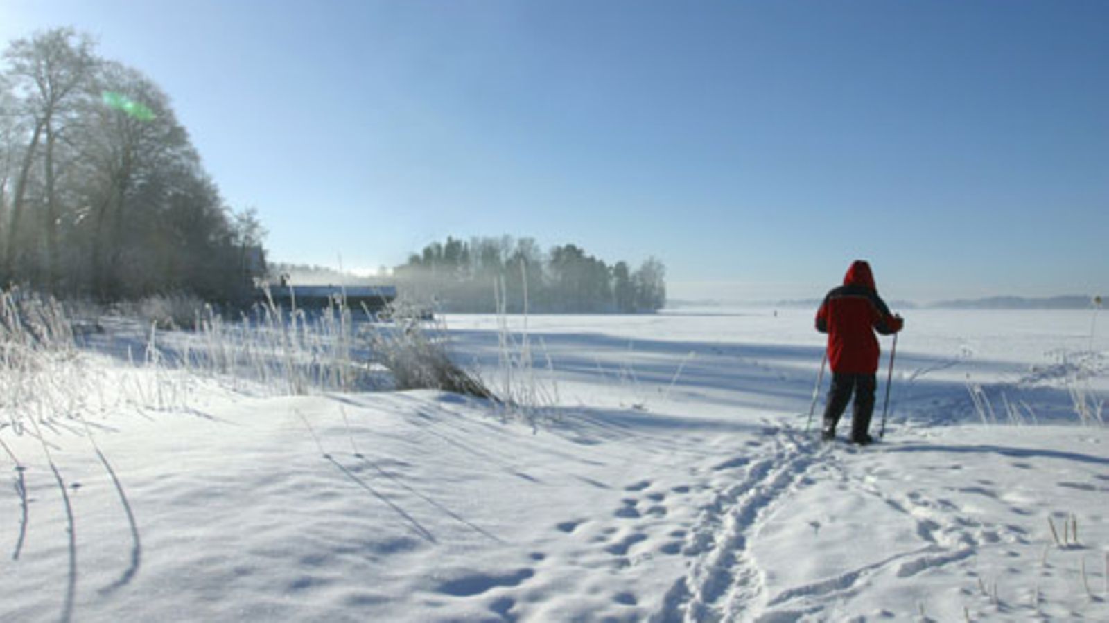 Lehtikuva/Janne Westerlund