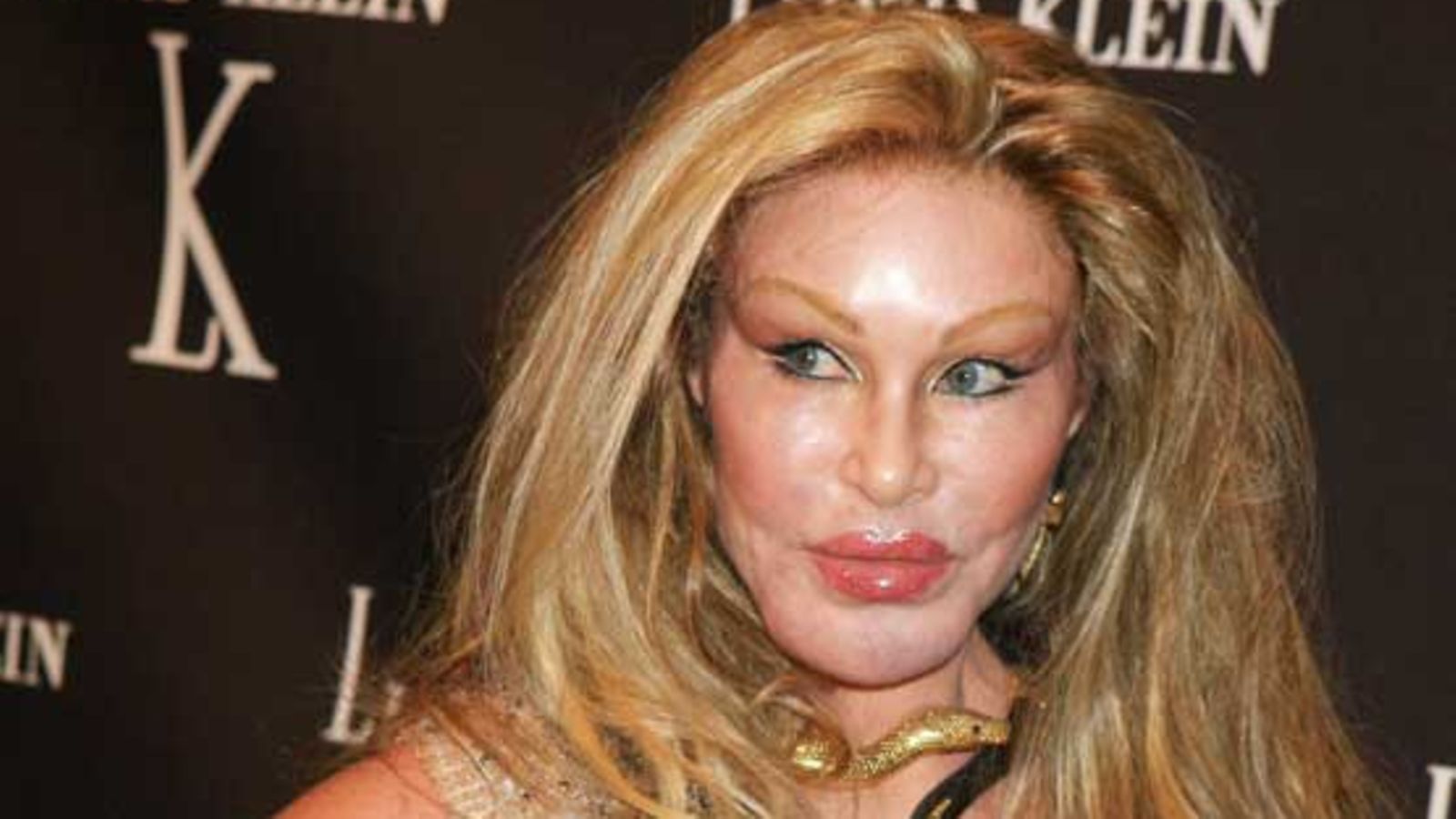 Jocelyn Wildenstein