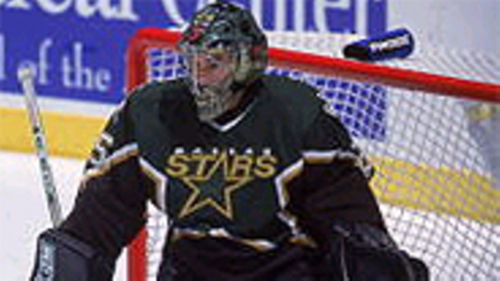 Marty Turco, Photo: Jeff Gross /Allsport