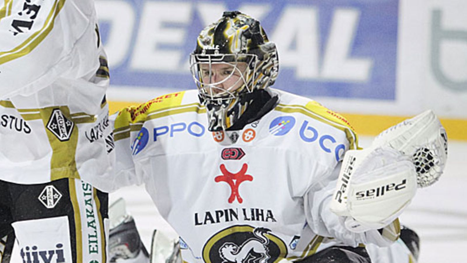 Petri Koivisto, kuva:Lehtikuva/Seppo Samuli
