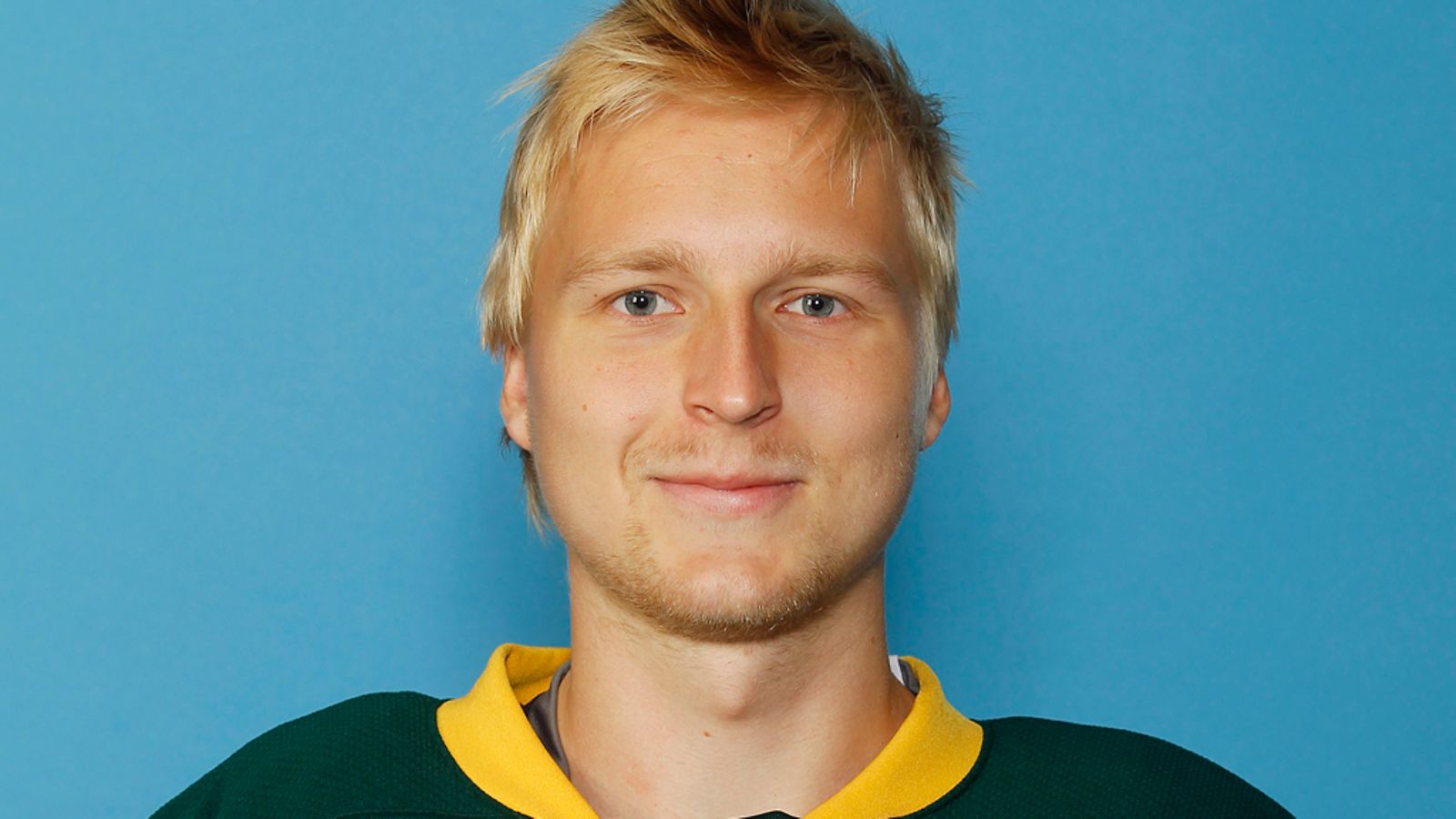 Matias Sointu, Ilves