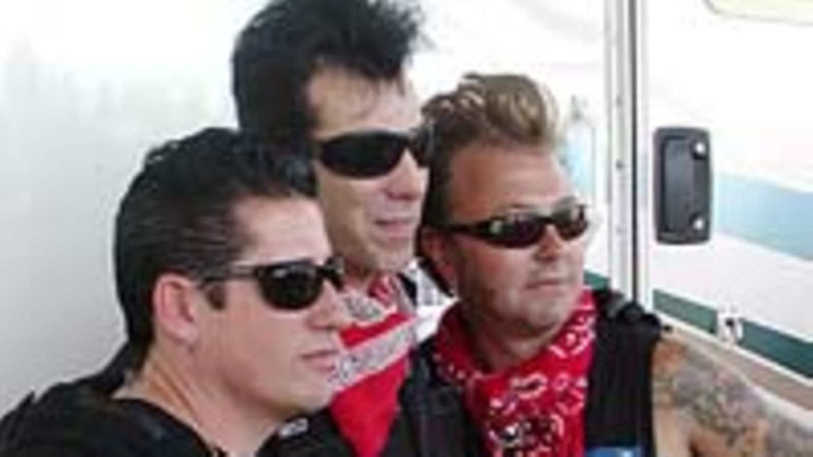 Stray Cats
