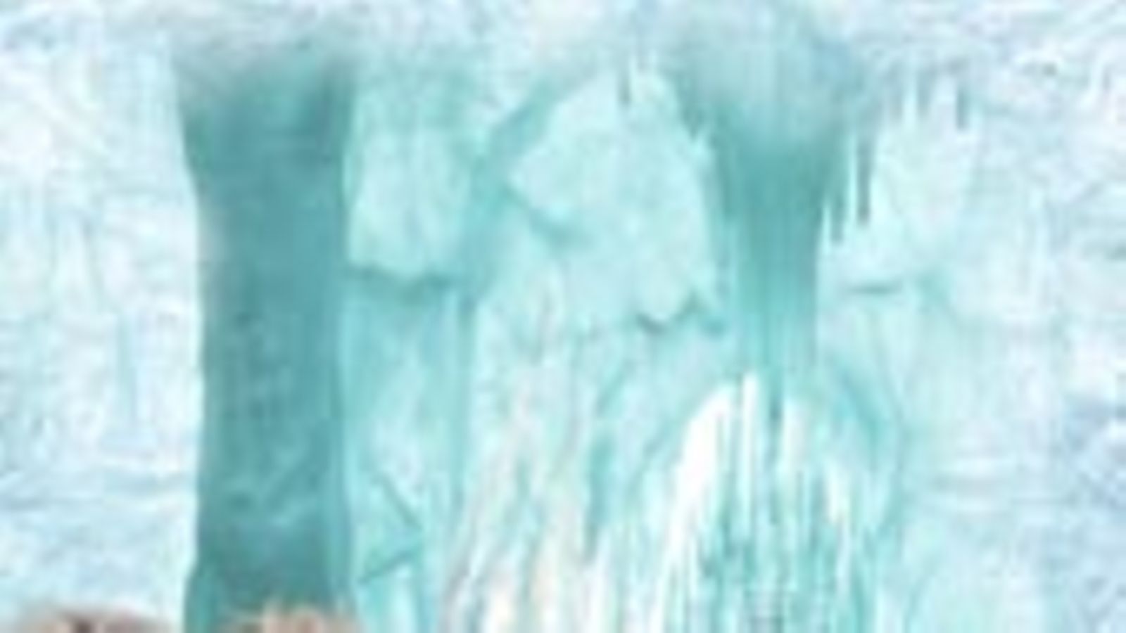 Narnian tarinat: Velho ja leijona