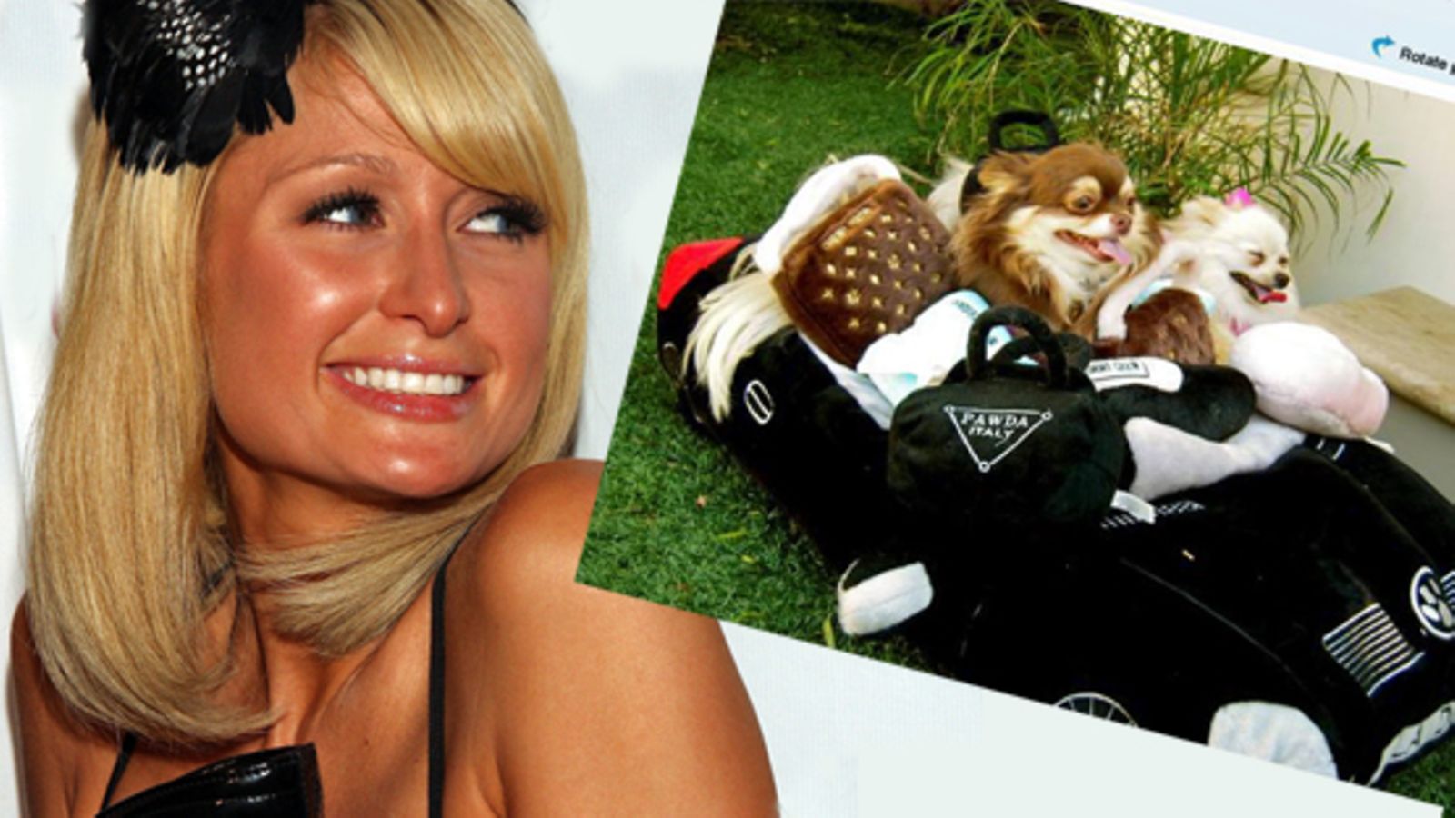 Paris Hilton (Wireimage)