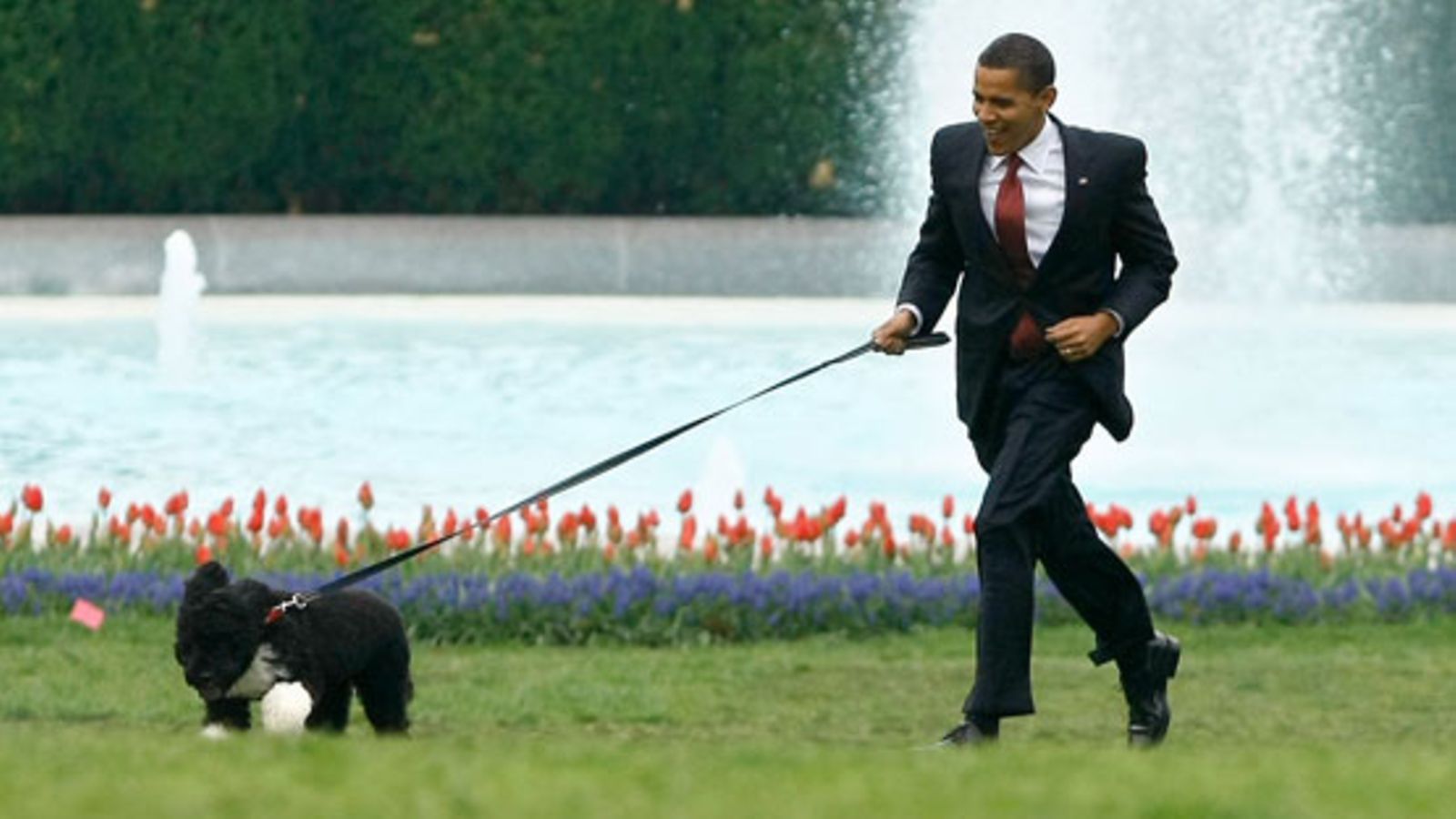 Barack Obama ja Bo (kuva: Getty Images/All Over Press)