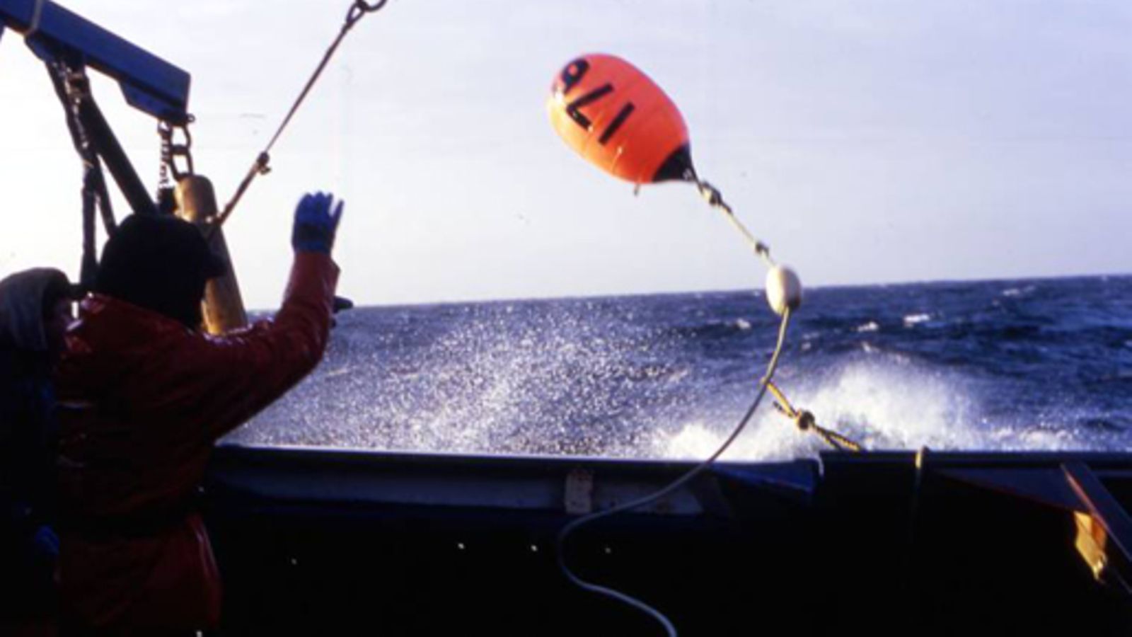 Hengenvaarallinen saalis. Kuva: Discovery Channel.