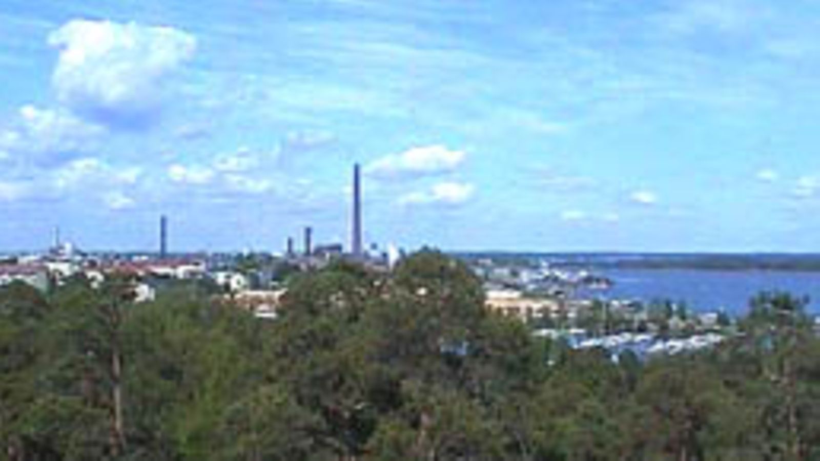 Kotkaa