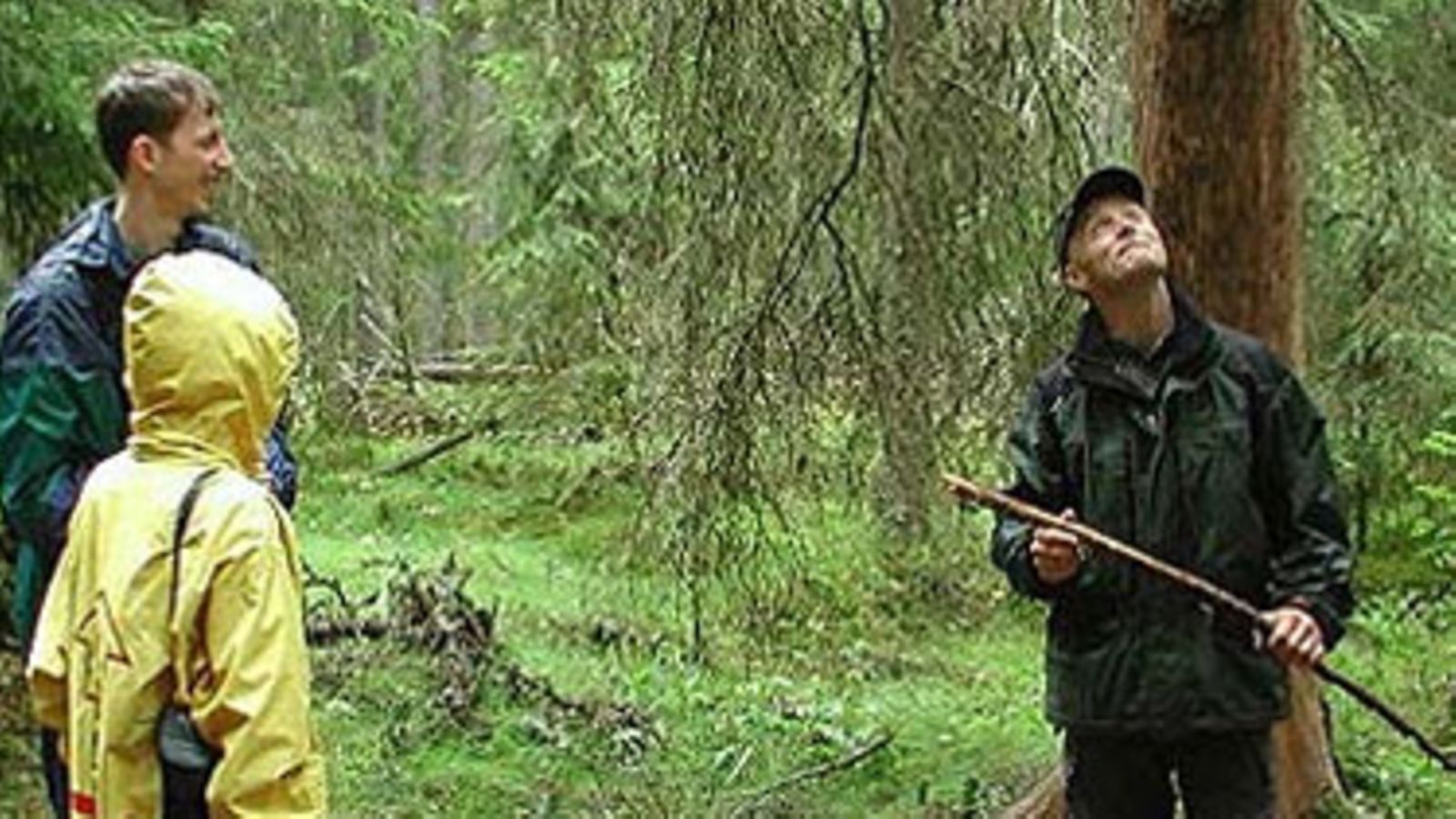 Pyhä-Häkin kansallispuisto