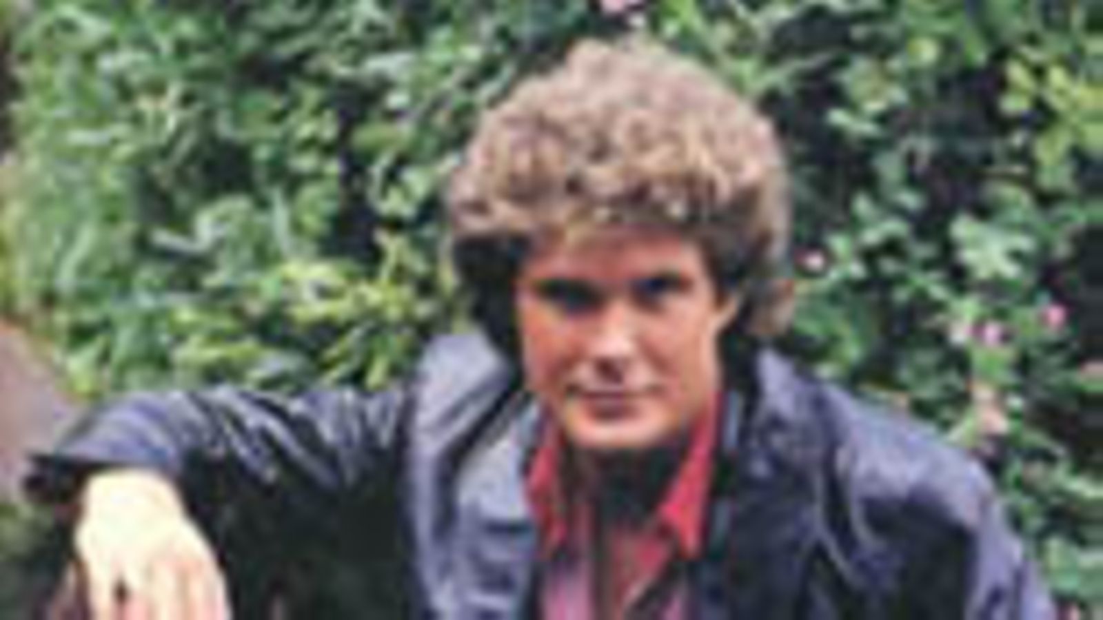 David Hasselhoff