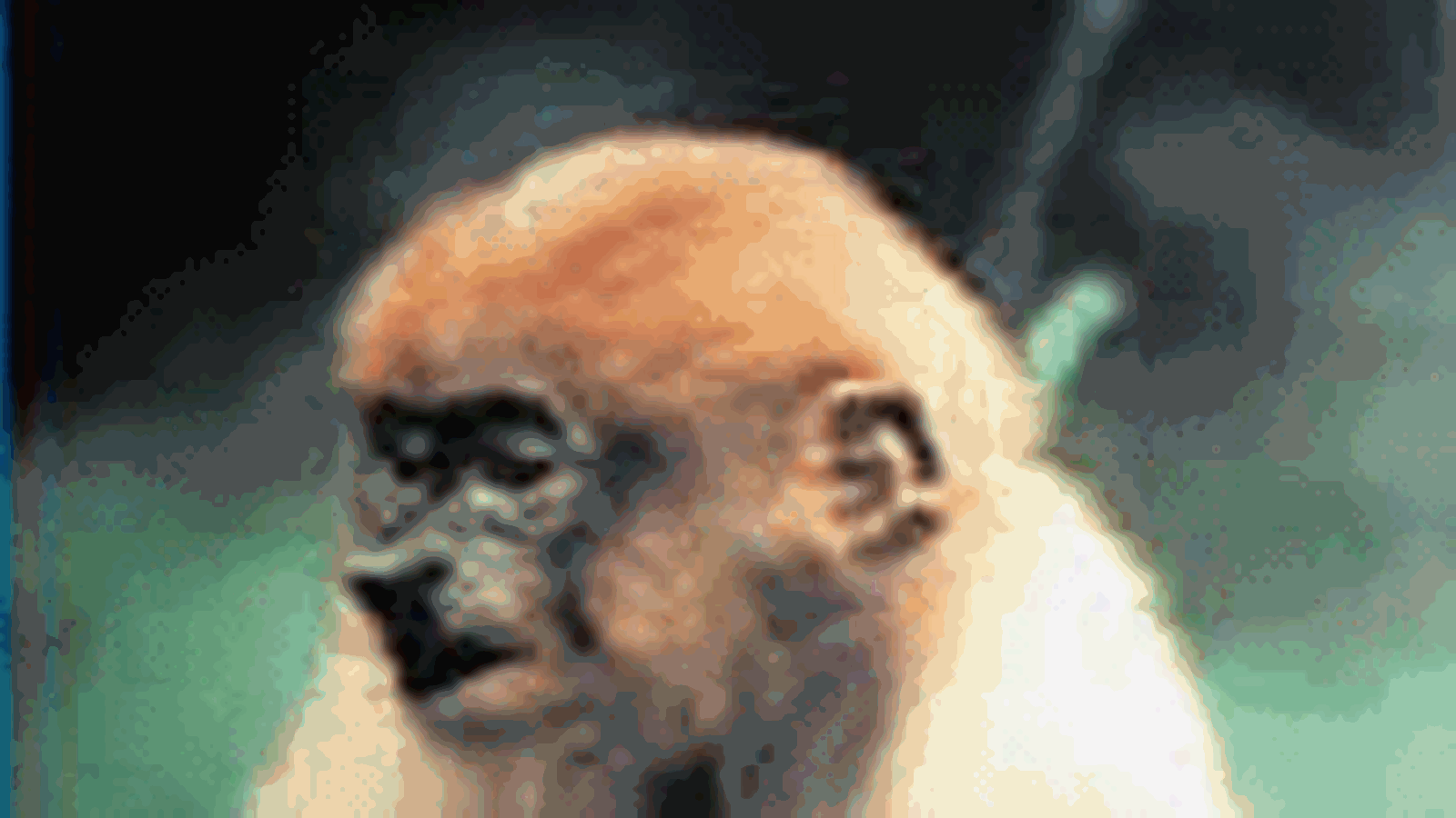 Nenäapina