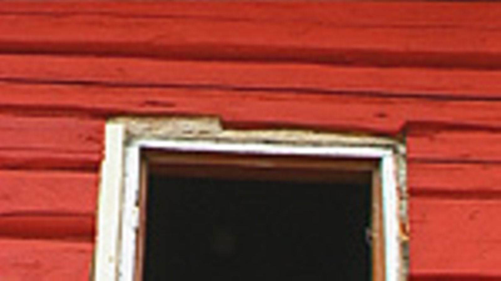 punamultamaalia