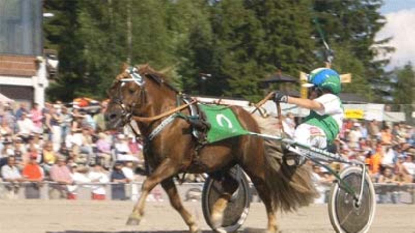 Juho Ihamuotila ja Suomen paras raviponi Golda Apache.