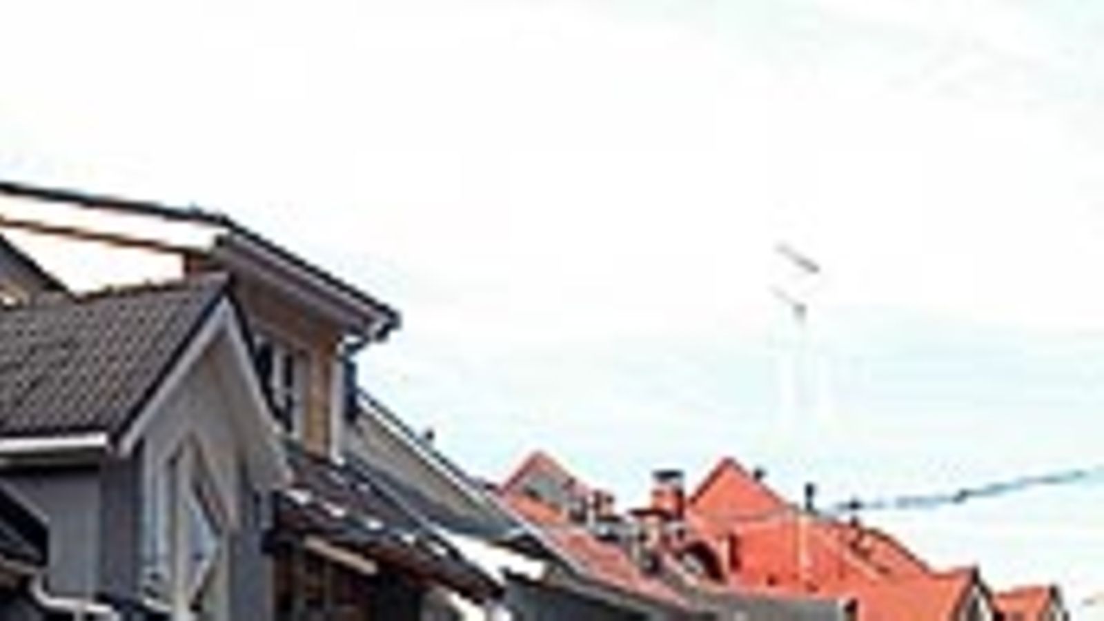 Säterinmetsä