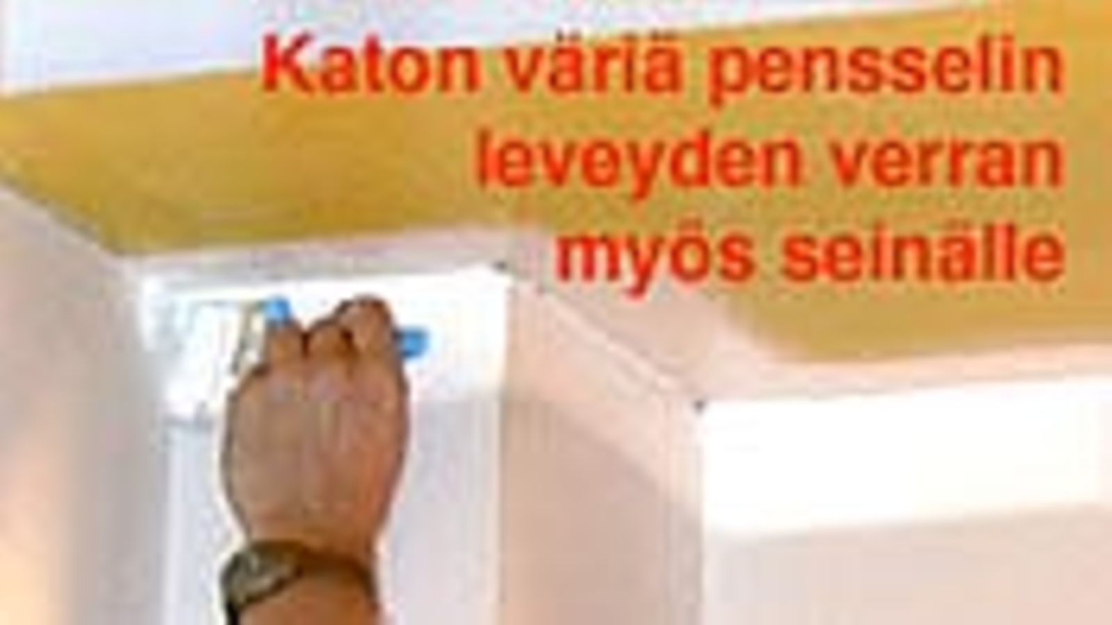 kattonurkka