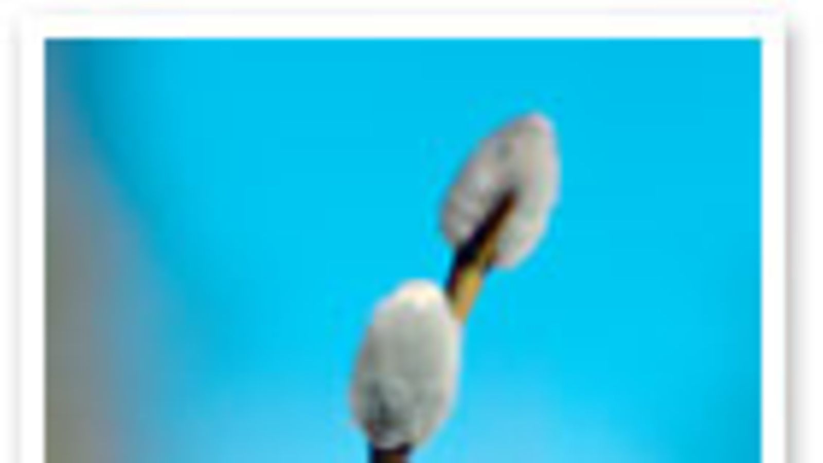 futureimagebank.com