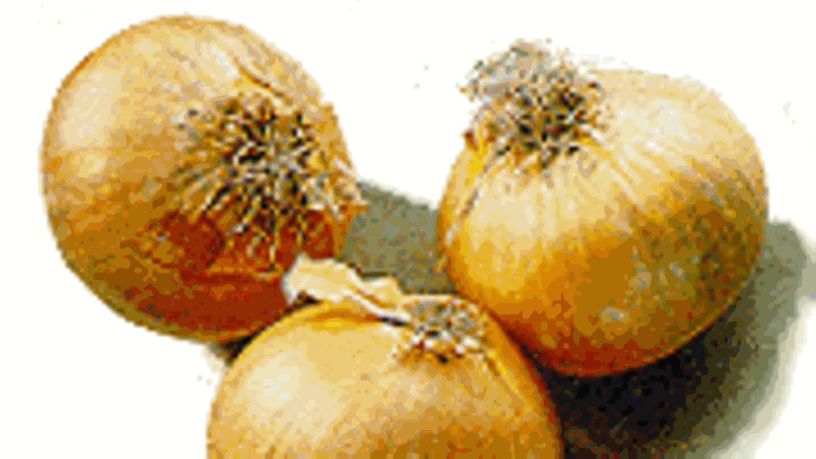 zafin11