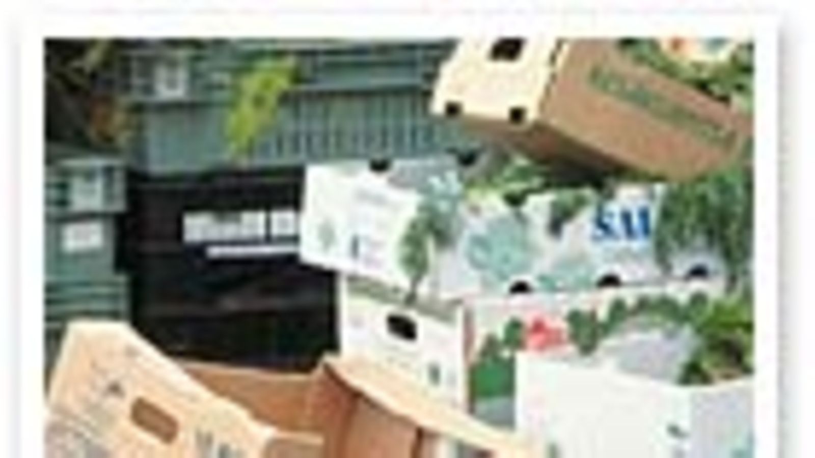 futureimagebank.com