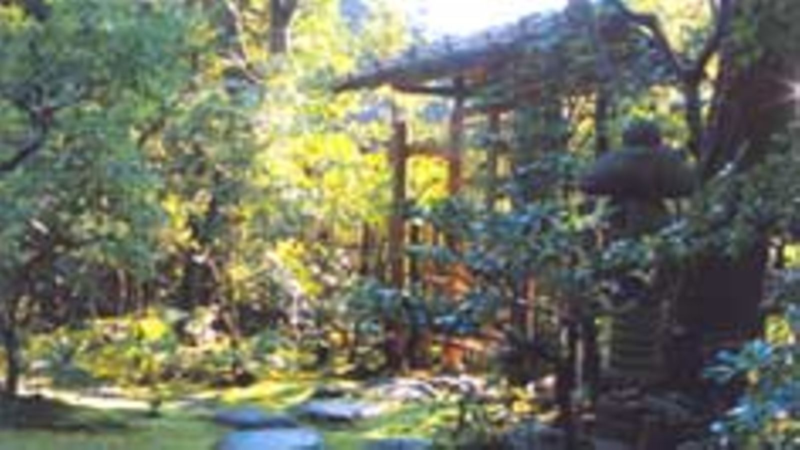Japanilainen puutarha suomalaisittain