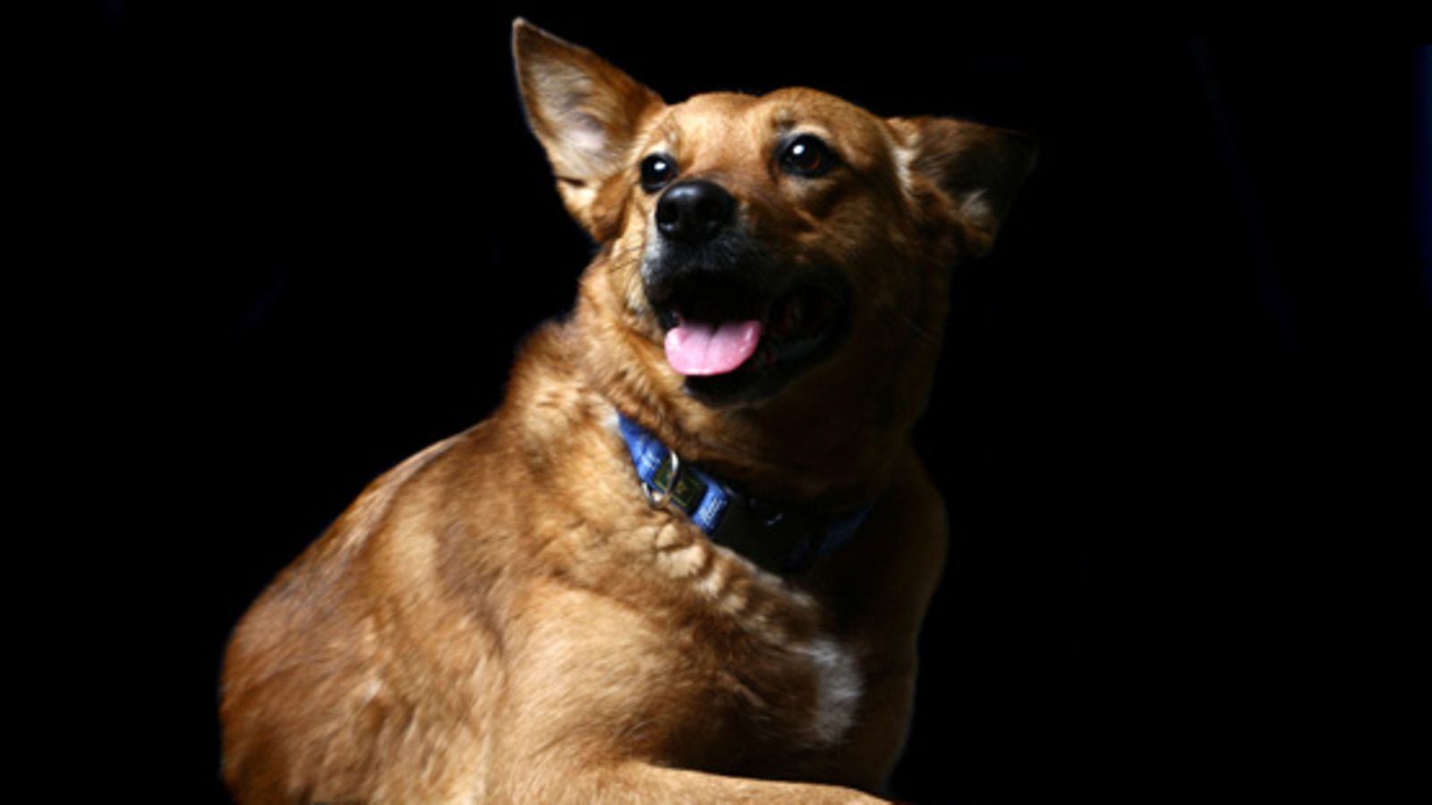 Kuva: Shutterstock