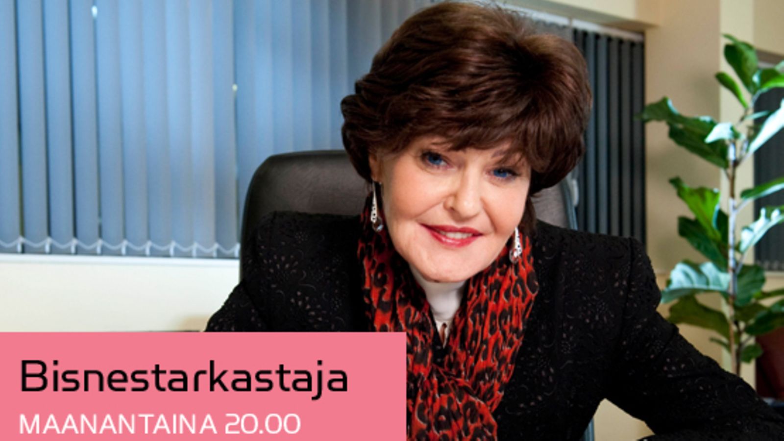 Bisnestarkastaja