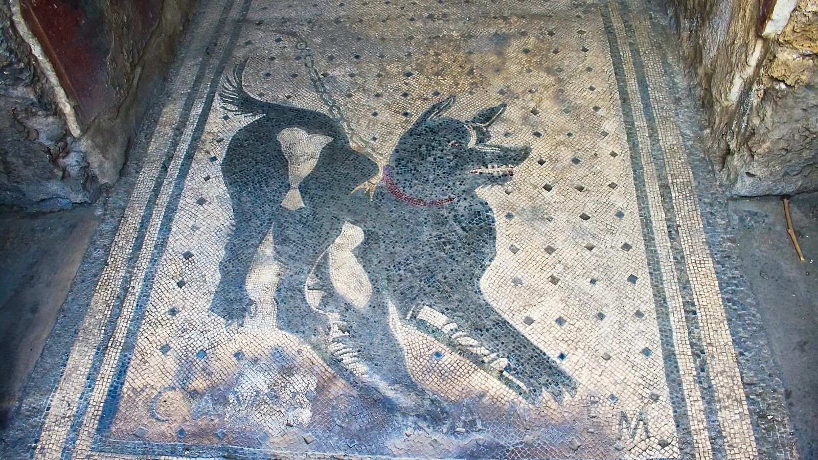 cave canem, pompeiji, varo koiraa