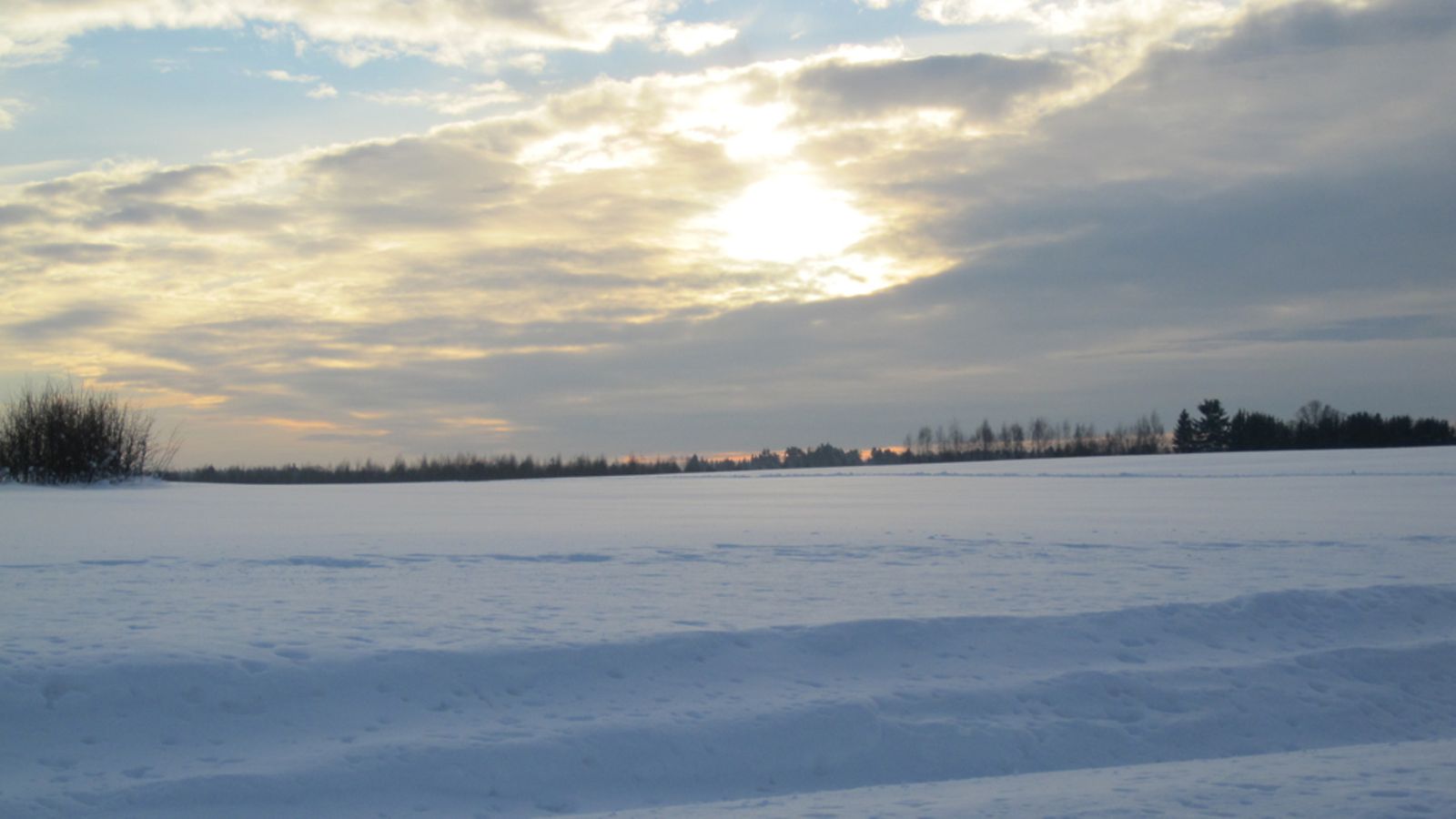 Talvinen päivä Tuusulassa 26. joulukuuta 2013.