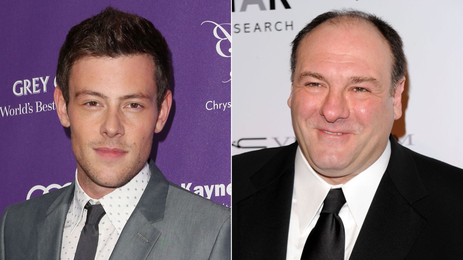 Cory Monteith ja James Gandolfini saavat omat osuudet Emmy-gaalaan.