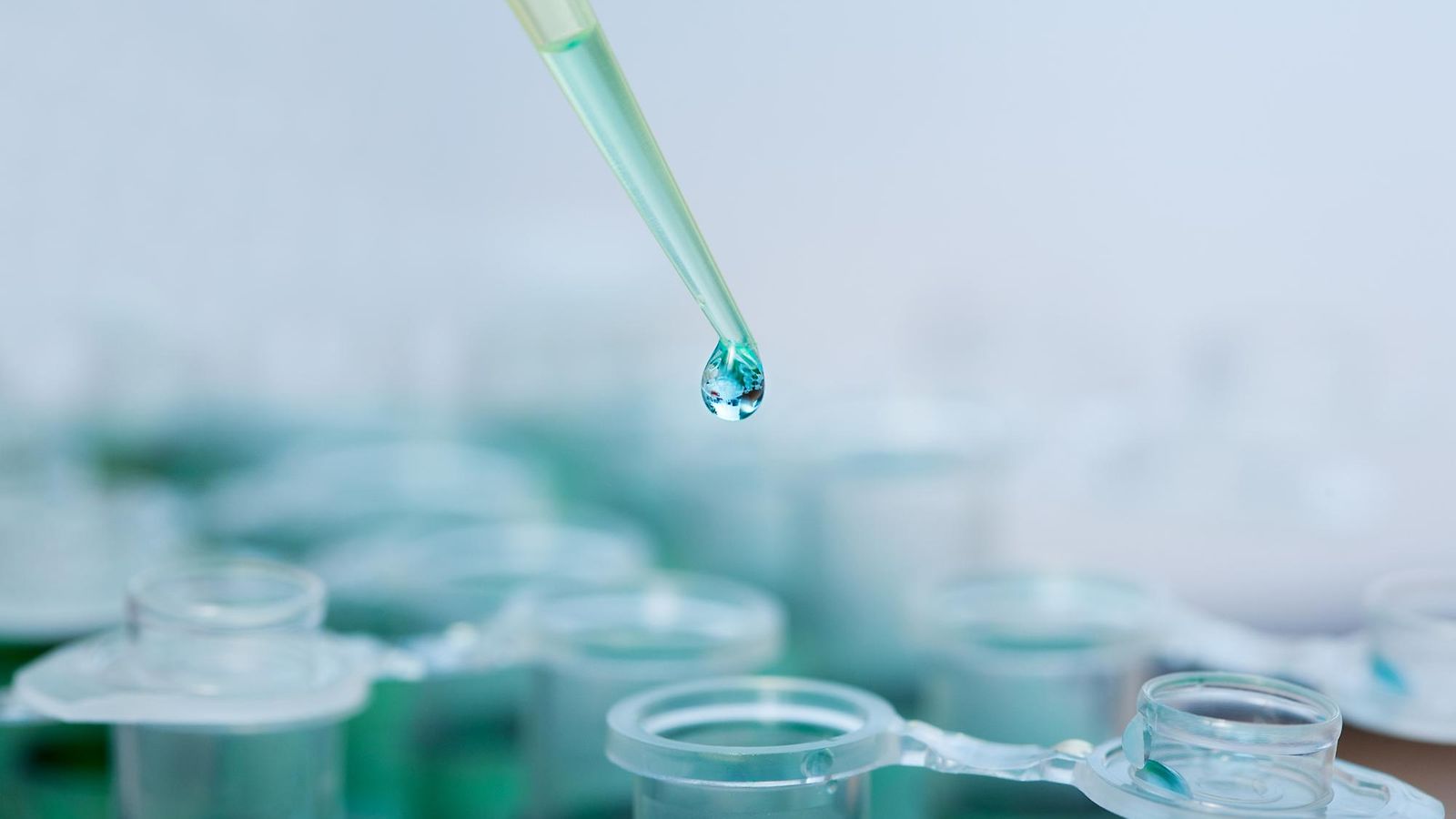 laboratorio.JPG