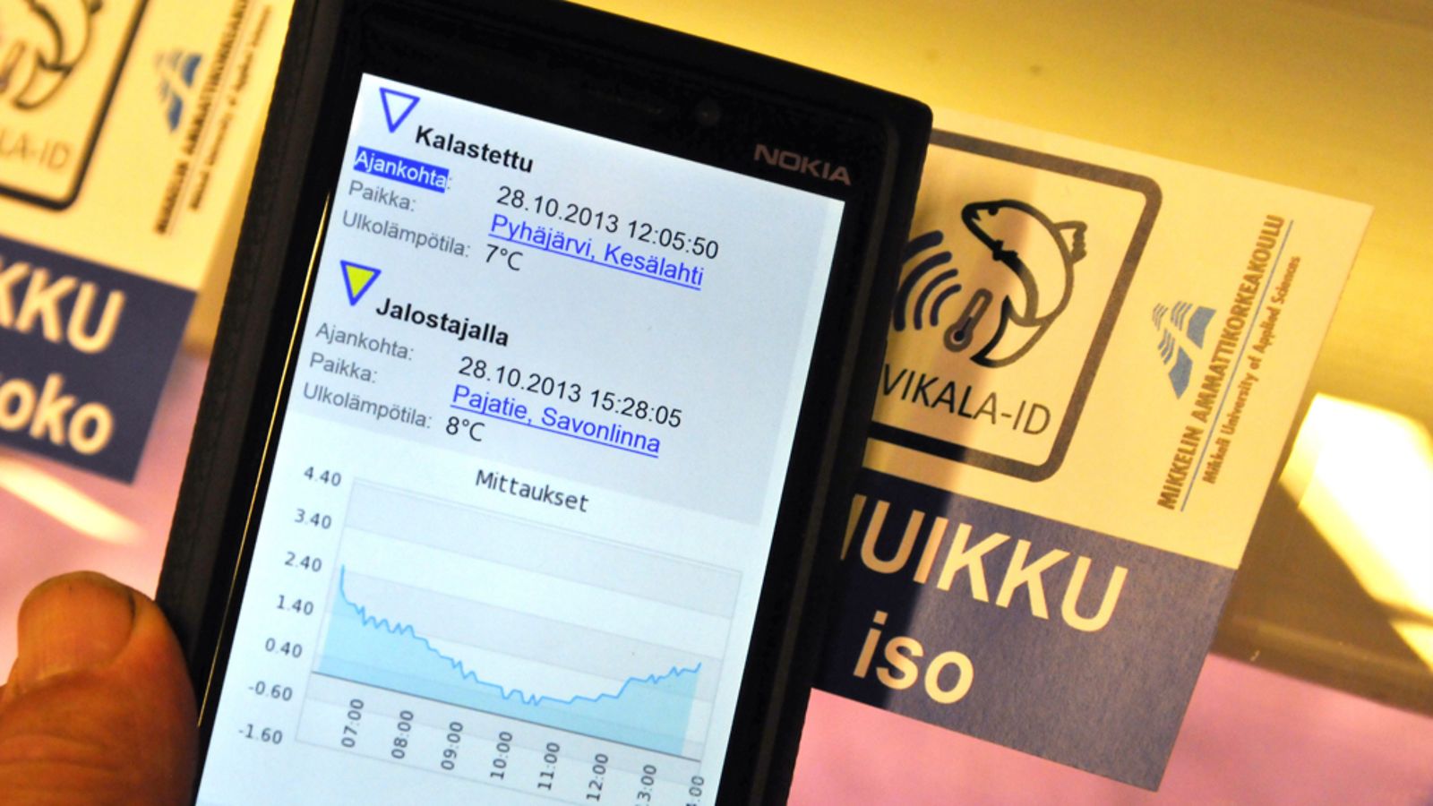 Älypuhelimella voidaan lukea kalatiskillä olevasta RFID-tarrasta myynnissä olevien kalojen tiedot. Mikkelin ammattikorkeakoulu esittelee seurantajärjestelmän järvikalan toimitusketjulle Mikkelissä, 29. lokakuuta 2013.