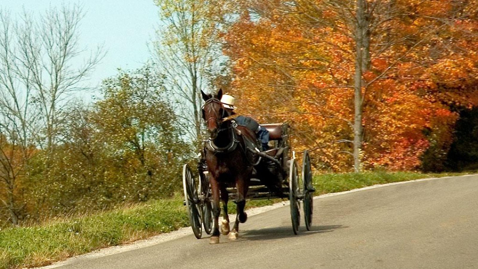amish.JPG