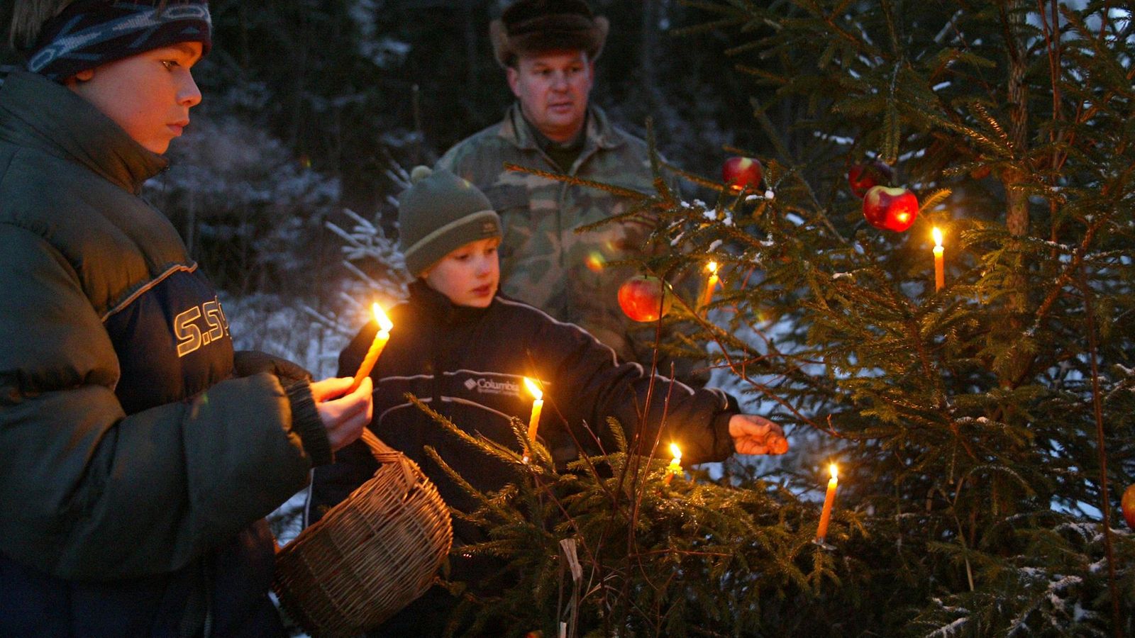 First decorated Christmas treeAivarsLiepins.JPG