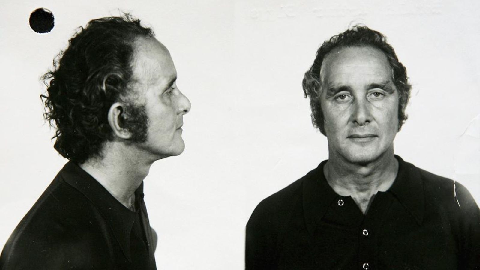 Ronnie Biggs poliisin kuva