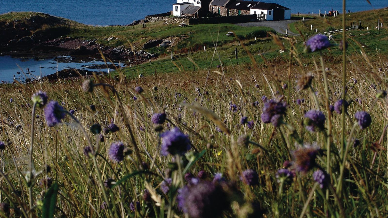 Cottage Eshaness