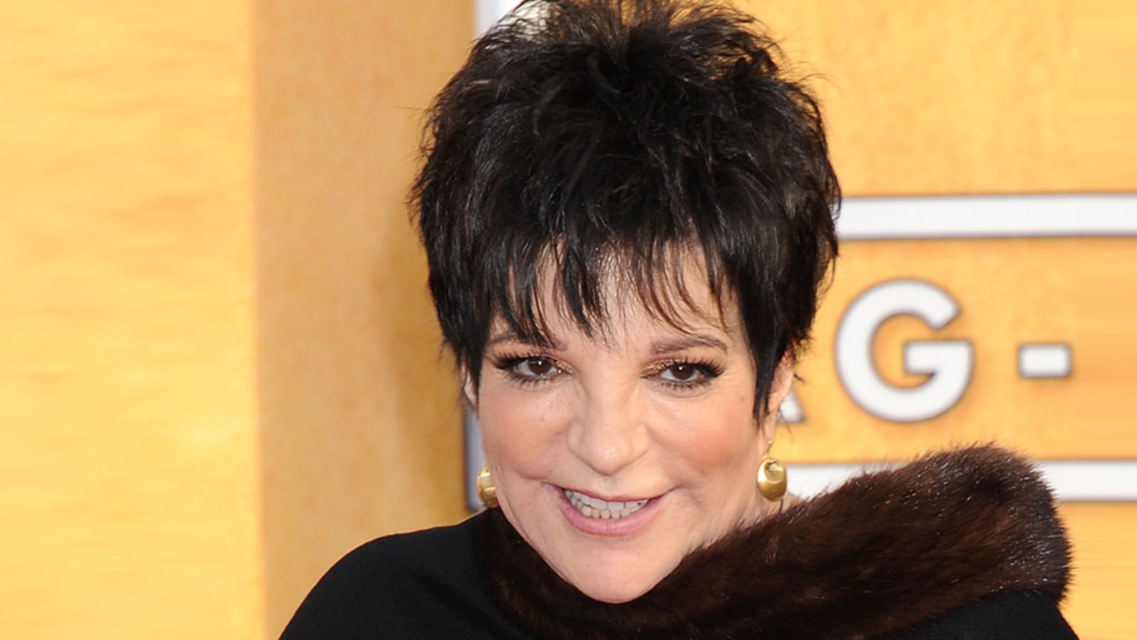 Liza Minnelli