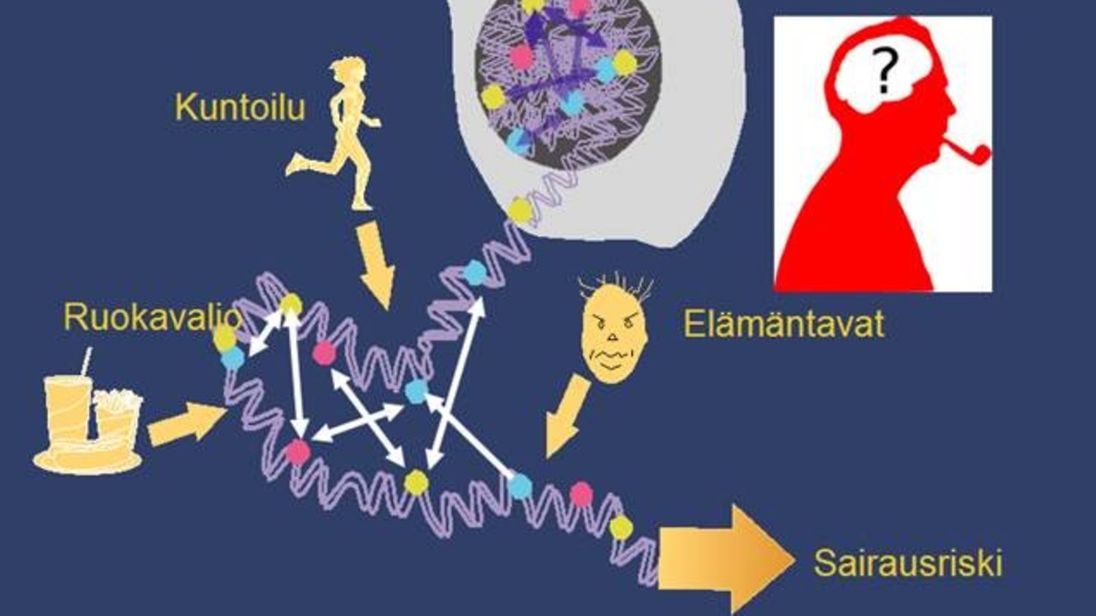 Lisaantyva_genetiikan_tietamys_hamartaa_perinteise