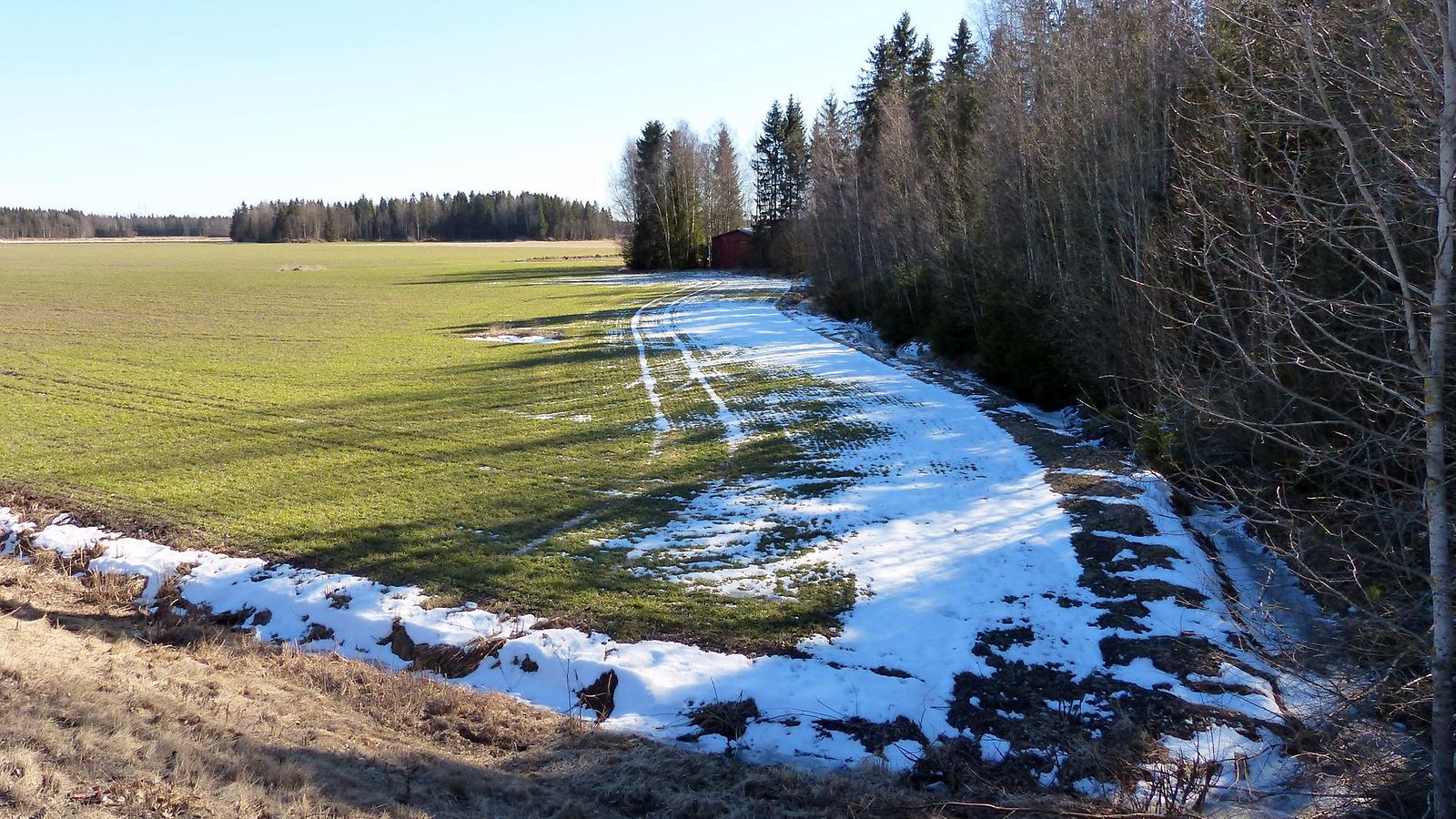 Kevään alkua Mustasaaressa Pohjanmaalla 26. maaliskuuta 2014. Lukijan kuva: Matti Hietala