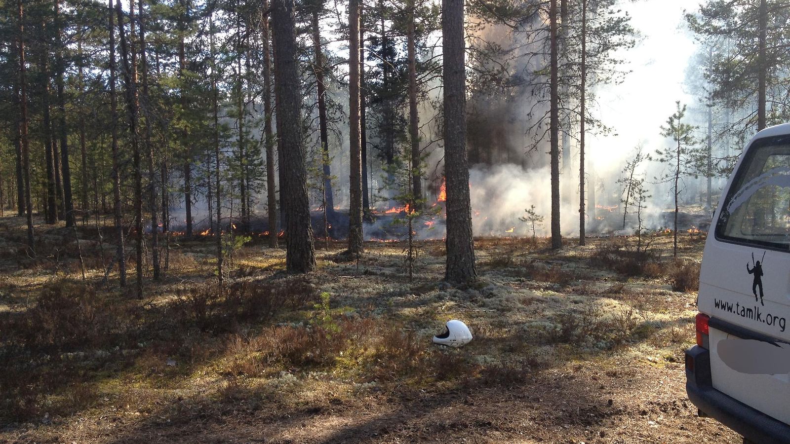 Turmapaikka