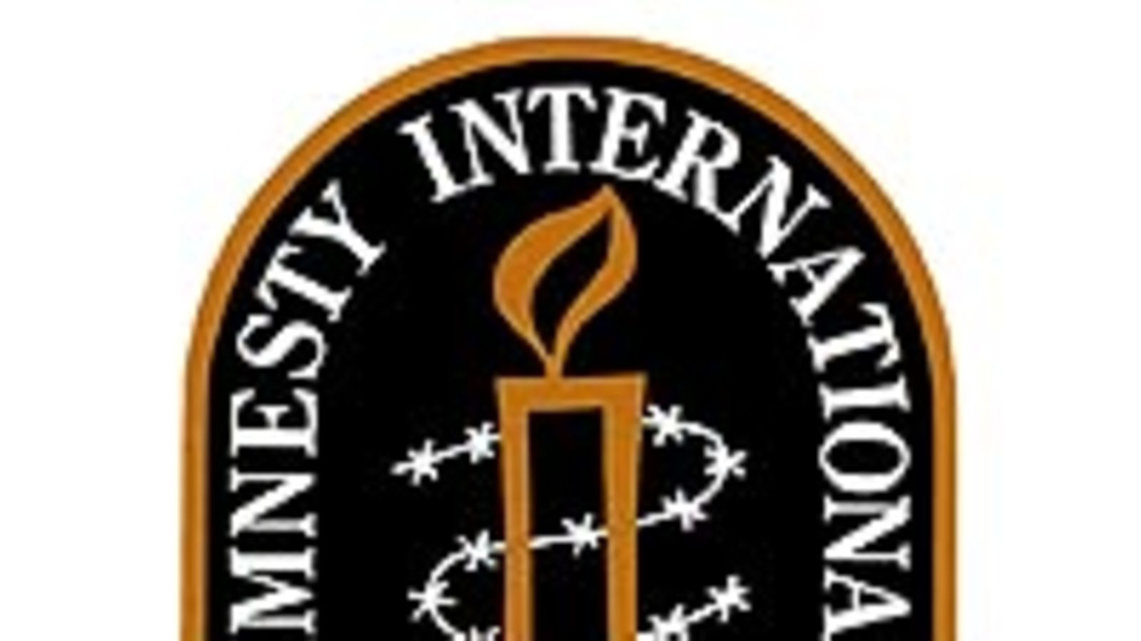 Amnesty