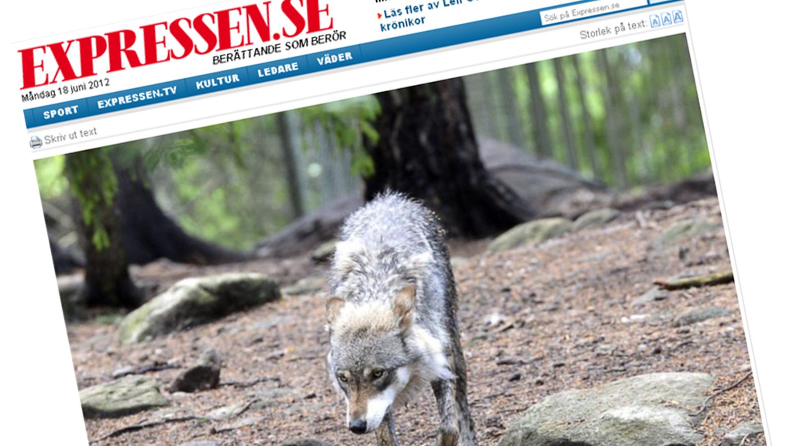 Kolmårdenin susihyökkäys Expressenin sivuilla.