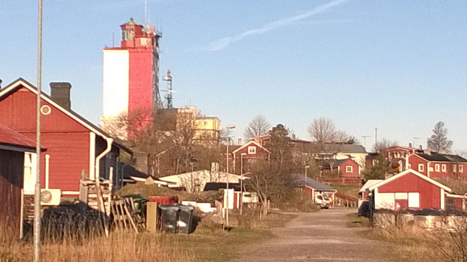 lintu3