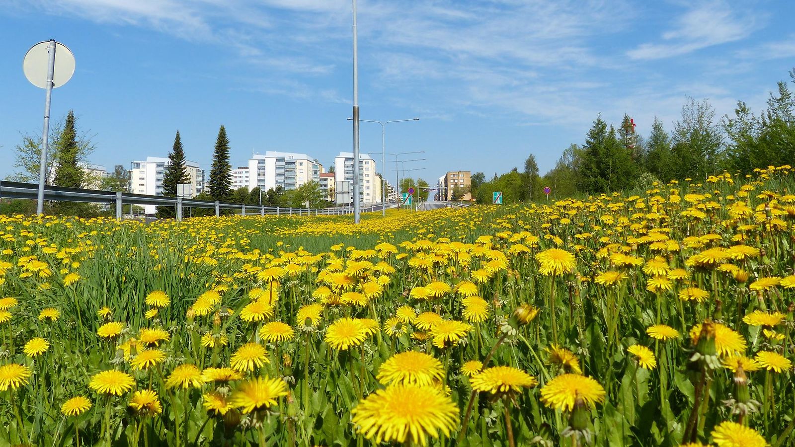 Aurinkoinen päivä Vaasassa 23. toukokuuta 2014. Lukijan kuva: Matti Hietala