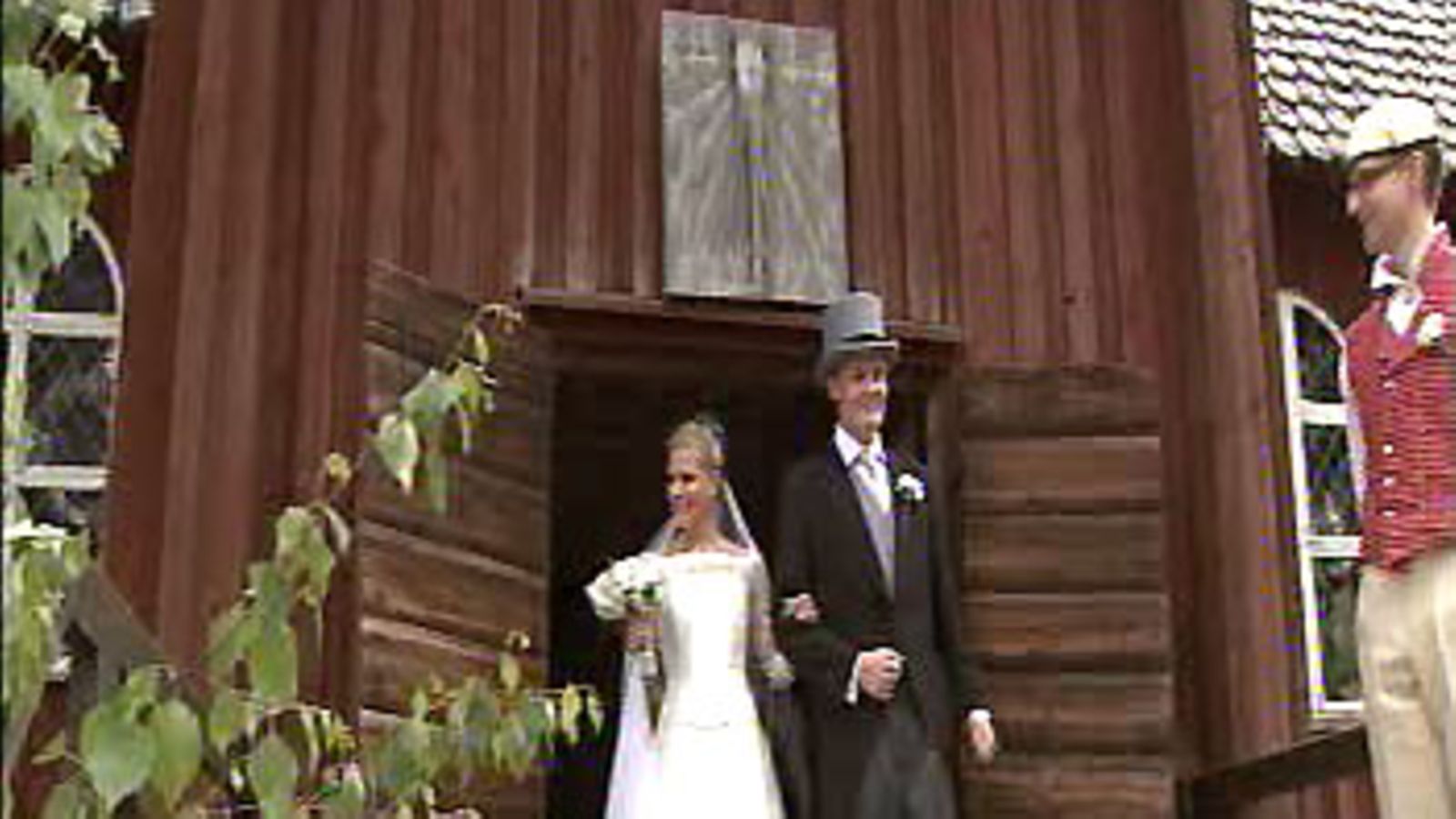 Juhannushäät Helsingin Seurasaaressa 20.6.2008