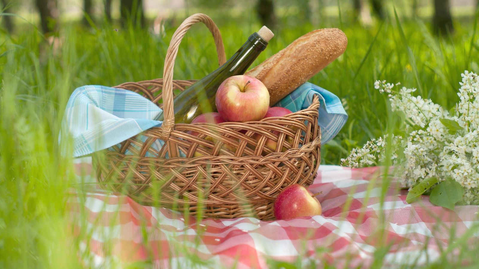 piknik