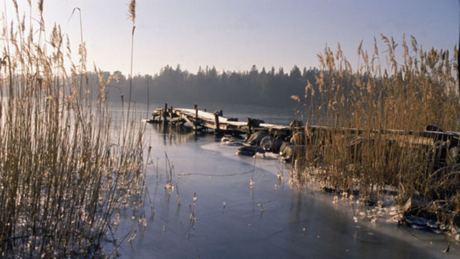 Järvi jäätyy. LEHTIKUVA / MATTI BJÖRKMAN / IMAP
