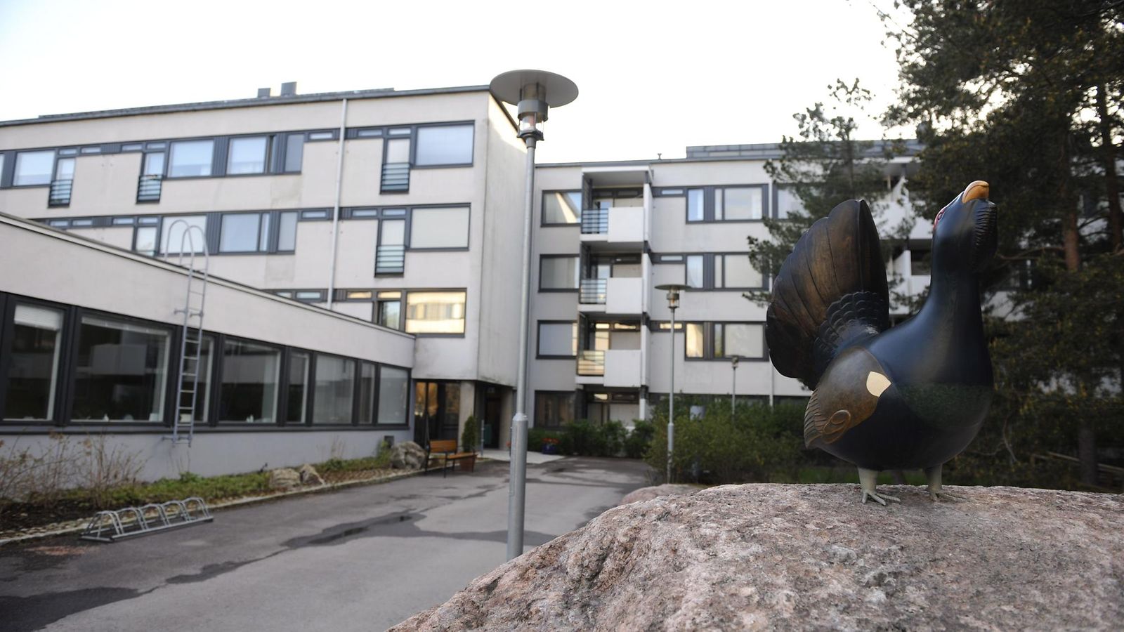 riistavuori