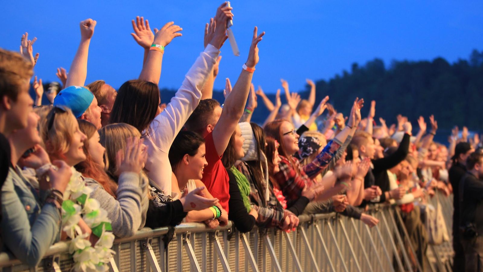 Ruisrock 2014 (1)