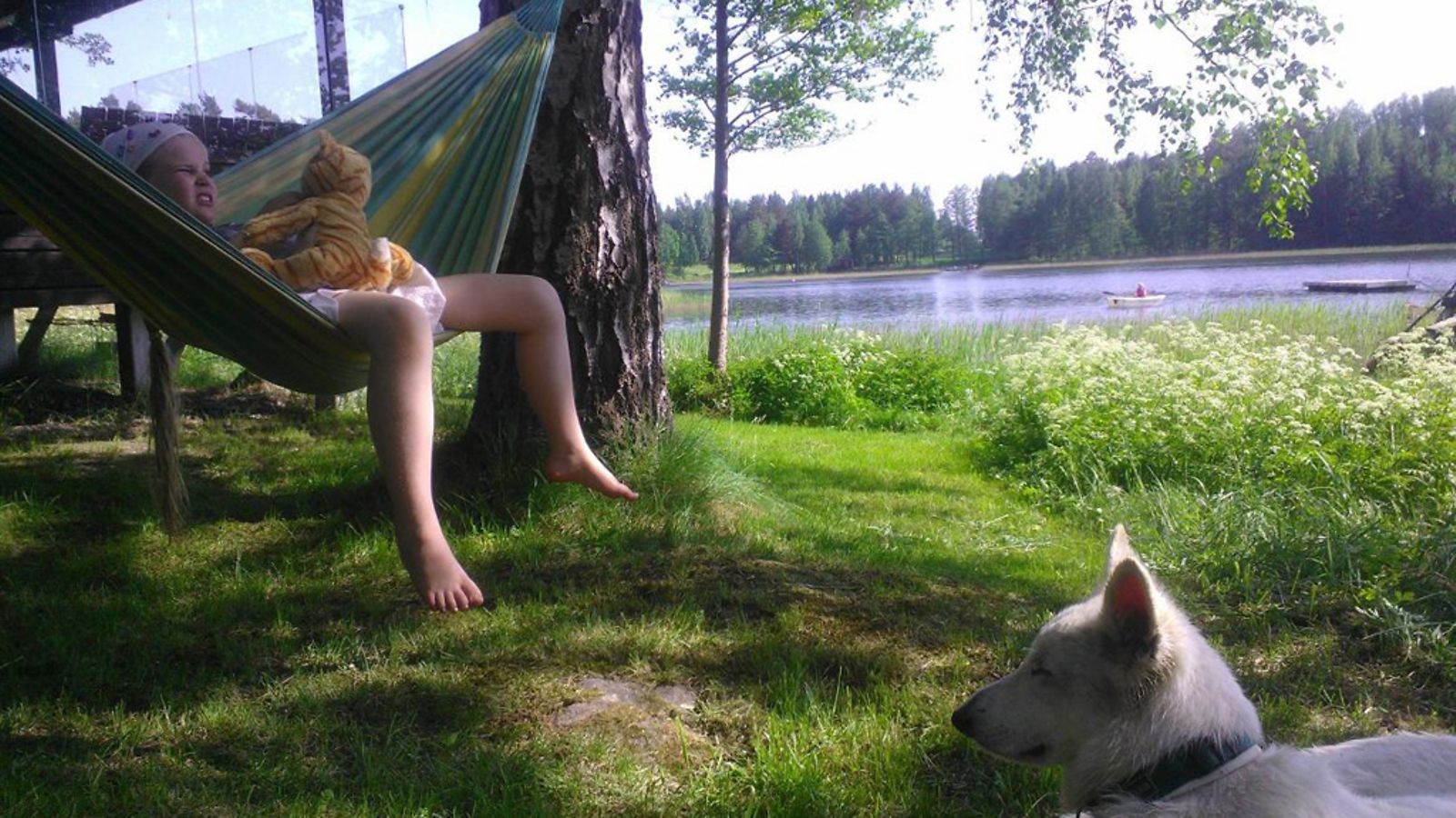 Hellettä Porvoossa. Lukijan kuva
