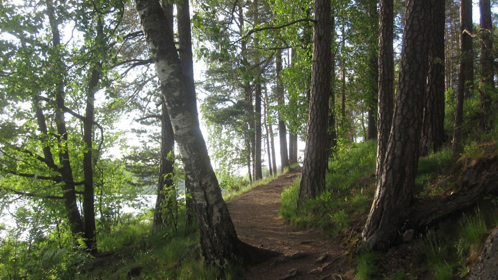 Kesäilta Tuusulanjärven rantapolulla 5.6.2012.