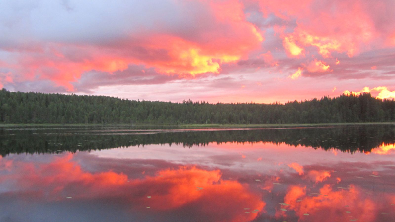 Ilta Salmijärvellä Lieksassa 18.7.2012.